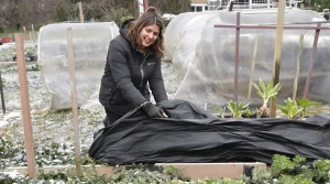 Au potager fin février : l’astuce des maraîchers qui fait gagner 3 semaines de récolte