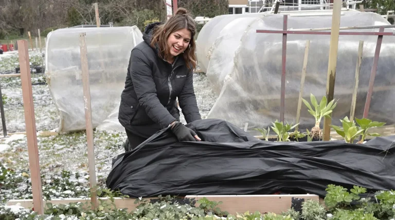 Au potager fin février : l’astuce des maraîchers qui fait gagner 3 semaines de récolte