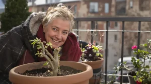 Figuier : ce geste de fin d’hiver pour en obtenir un deuxième gratuit chez vous, même débutant