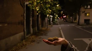 Guerilla gardening : verdir la ville sans nuire à la nature, voici comment faire