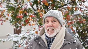Il résiste à -15°C : le plaqueminier, cet arbre à kaki qui transforme vos vergers dès la première année