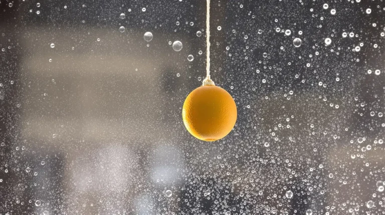 « Je l’ai posée hier, ils sont venus dès ce matin » : cette mangeoire maison à fabriquer en 5 minutes est un vrai aimant à oiseaux