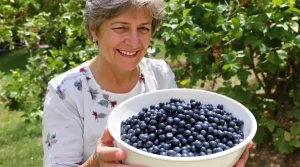 Le fruitier le plus simple du jardin : même sans main verte, vous récoltez chaque année
