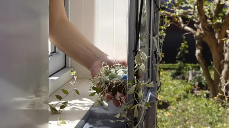 Mésanges : ce déchet inattendu de votre salle de bain les aide à parfaitement faire leur nid