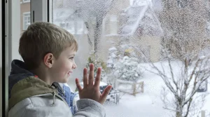 Ne jetez plus vos vieilles boîtes d’œufs, je les recycle au jardin pour attirer les oiseaux tout l’hiver