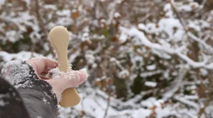 On se moque souvent de cette astuce… jusqu’à ce qu’on découvre à quel point elle aide les oiseaux