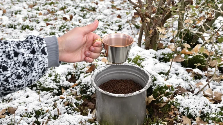 Pourquoi de plus en plus de jardiniers saupoudrent du café sur les mangeoires à oiseaux