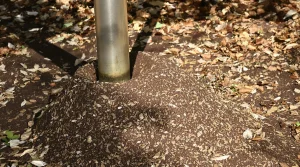 Pourquoi de plus en plus de jardiniers saupoudrent du marc de café sur les mangeoires à oiseaux