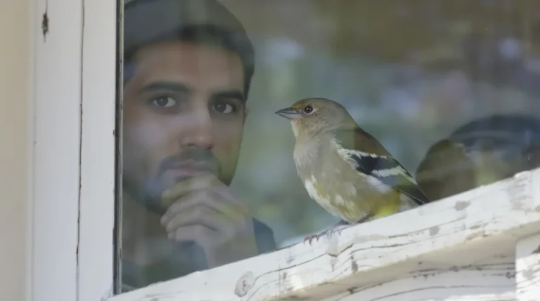 Présence d'un écureuil dans mon jardin : quelle signification réelle et que faut-il comprendre ?