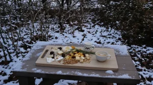 Rouges-gorges au jardin : ce soir, mettez dehors cet aliment de base à 3 centimes, que la plupart des jardiniers oublient