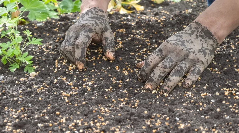 "Un centimètre, pas plus" : la profondeur idéale que la plupart des jardiniers refusent d'admettre